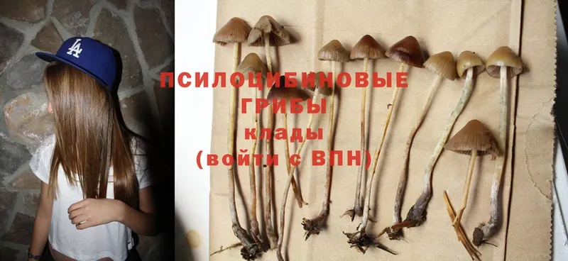 Галлюциногенные грибы MAGIC MUSHROOMS  Таганрог 